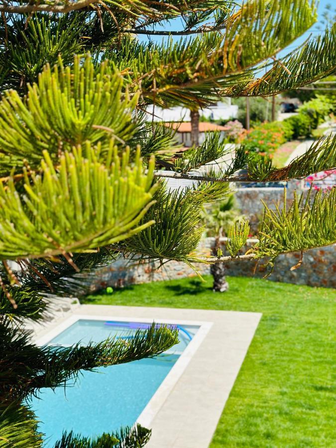 Cost Mari Almyrida New By Zago Boutiqe Hotels Экстерьер фото